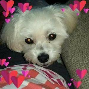 Meet your Posher, Pat